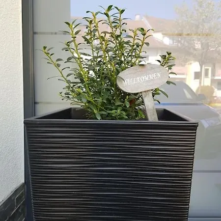 Schlossgasse 프라이부르크 임 브리스가우